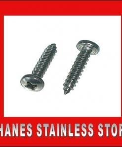 Stainless Steel Pan Head Screws 8gauge x 25mm.